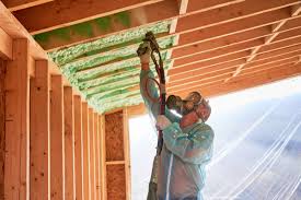 Best Eco-Friendly or Green Insulation Solutions in Royal Palm Beach, FL